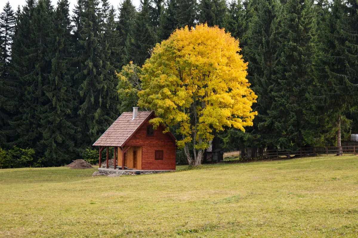 The Rural Home Autumn Maintenance Checklist